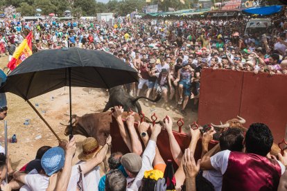 Soria celebra el tradicional día de Jueves La Saca