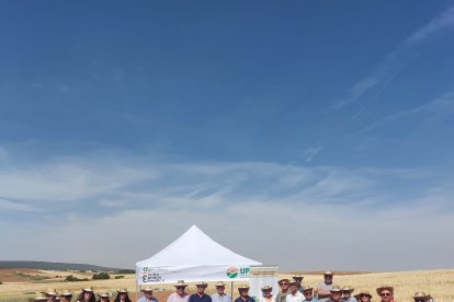 Visita a los campos de ensayo de UPA, el lunes pasado, en la localidad burgalesa de Castrillo de Solarana.