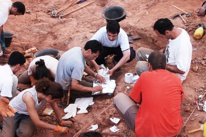 Tres nuevos estudios refuerzan la importancia científica de los dinosaurios de la Sierra de la Demanda, en Burgos.