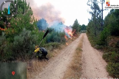 Incendio de Porqueros (León), en la tarde del 7 de julio - JCYL