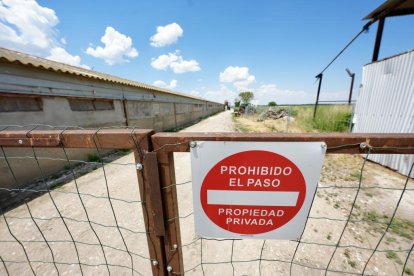 Granja avícola en Aldea de San Miguel donde surgió el primer foco de Enfermedad de Newcastle