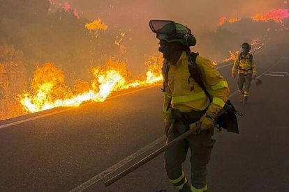 Los bomberos forestales en el incendio de Los Gallardos en Almería.