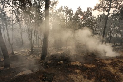 El incendio forestal de Burgohondo (Ávila).