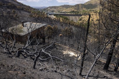 Aspecto del monte arrasado por el fuego en el embalse del Burguillo, en el Valle de Iruelas de El Tiemblo