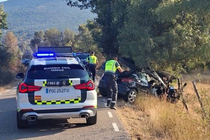 Estado en el que quedaba el vehículo siniestrado tras chocar contra el árbol en Villar del Ala (Soria).