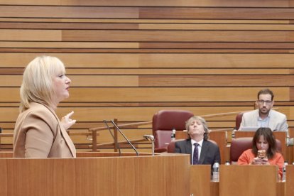 Leticia García, durante su intervención sobre la PNL de financiación autonómica, con Carlos Martínez y Patricia Gómez Urbán al fondo.