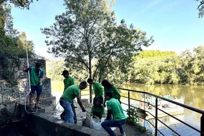 Voluntarios de Iberdrola en Castilla y León se movilizan esta Semana Internacional del Voluntariado en múltiples actividades presenciales y telemáticas relacionadas con el compromiso de la compañía con el cuidado del medio ambiente y el apoyo a colectivos vulnerables