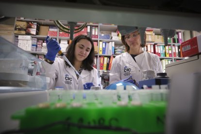 Elizabeta Rojas junto con otra compañera del grupo de investigación.