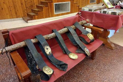Suerte de Pinos, un modo tradicional de gestión de los recursos forestales y un privilegio de posesión comunal del bosque, que se remonta a las Cartas Pueblas concedidas por los monarcas del medievo.