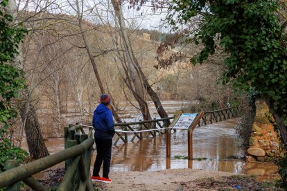 Crecida del río Duero a su paso por Soria capital