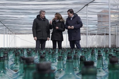 Alberto Núñez Feijóo y Alfonso Fernández Mañueco visitan la bodega Hijos de Alberto Gutiérrez en Serrada (Valladolid).
