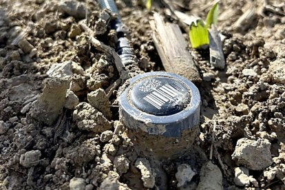 Sonda para la detección de humedad en un cultivo de maíz