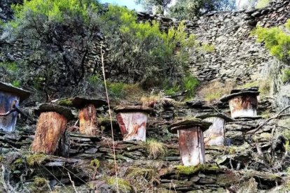 Cortines de Fonfría (Torre del Bierzo, León).