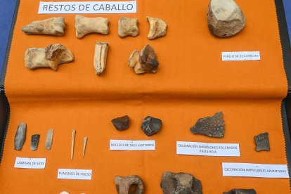Presentación de los resultados de la campaña de excavaciones.