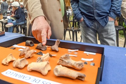 Presentación de los resultados de la campaña de excavaciones.