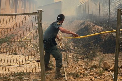 Incendio forestal de Molezuelas de la Carballeda, Zamora.