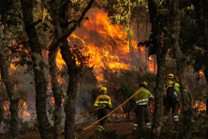 Efectivos de extinción se enfrentan a las llamas en el incendio de El Payo, en Salamanca.
