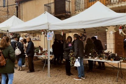 Ediciones anteriores de la Feria del Acebo de Prádena