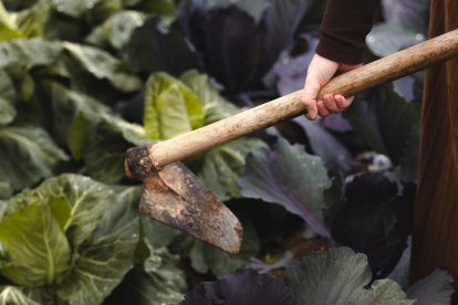 Vanesa Urizarna impulsa un proyecto que une tradición agrícola y artesanía innovadora contra la despoblación