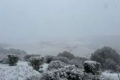 La borrasca 'Ingrid' deja nieve en Urueña, en Valladolid.