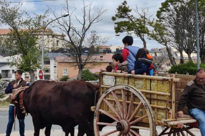 Feria de Ganado Vacuno en el Espinar en ediciones anteriores