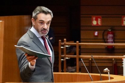 El portavoz de VOX, David Hierro, interviene durante el pleno.