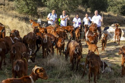 Un momento del recorrido entre las localidades abulenses de Solosancho y El Fresno.