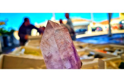 Restos geológicos expuestos en el Museo de la Falla de Juzbado / Museo de la Falla