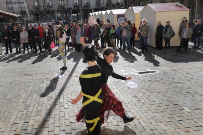 Lectura del manifiesto por el Día contra la Violencia de Género en la plaza Mayor de Palencia. - ICAL