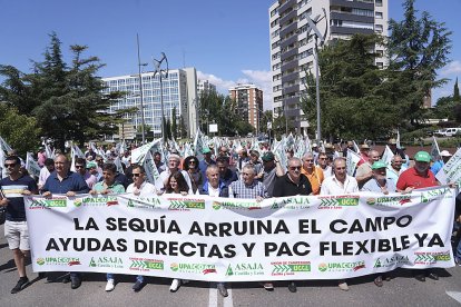 Manifestación de agricultores y ganaderos en Valladolid, para reclamar ayudas por la sequía. ICAL