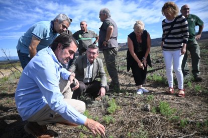 El consejero de Medio Ambiente, Vivienda y Ordenación del Territorio, Juan Carlos Suárez-Quiñones, presenta la concesión de ayudas a la restauración forestal por los incendios de 2022. -ICAL