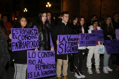 Acto en conmemoración del Día Internacional de Eliminación de la Violencia Contra la Mujer en Zamora.- ICAL