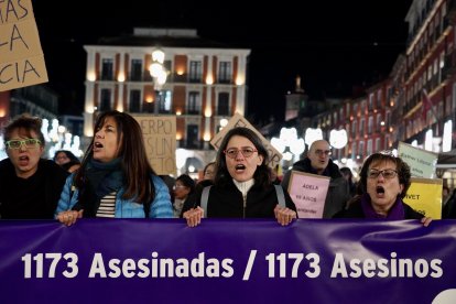 Manifestaciones por el Día Internacional de la Eliminación de la Violencia hacia las Mujeres en Valladolid. - ICAL