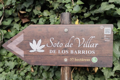 El bosque 'Soto de los Barrios' de Ponferrada - BOSQUE SIN FRONTERAS