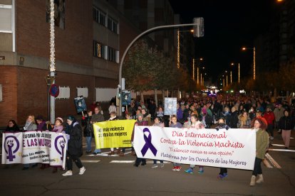 Manifestación del 25-N en Palencia. - ICAL