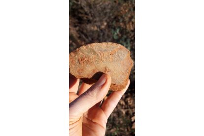 El proyecto 'Cota 1000' descubre nuevos yacimientos en el valle del río Arlanza Burgos - ICAL