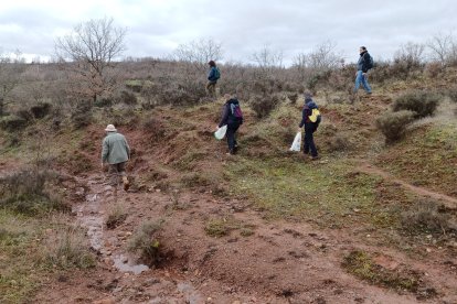 El proyecto 'Cota 1000' descubre nuevos yacimientos en el valle del río Arlanza Burgos - ICAL