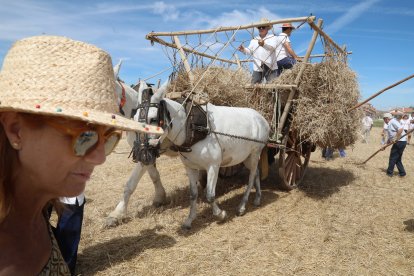 Homenaje a la tradición y a las labores agrícolas en la Fiesta de la Trilla en la localidad palentina de Castrillo de Villavega (Palencia) .-ICAL