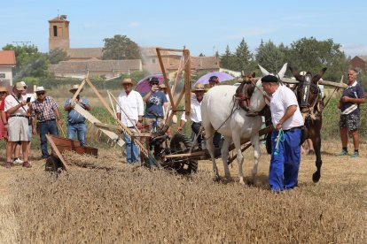 Homenaje a la tradición y a las labores agrícolas en la Fiesta de la Trilla en la localidad palentina de Castrillo de Villavega (Palencia) .-ICAL