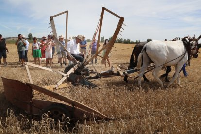 Homenaje a la tradición y a las labores agrícolas en la Fiesta de la Trilla en la localidad palentina de Castrillo de Villavega (Palencia) .-ICAL