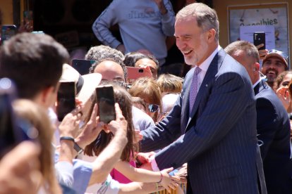 El rey inaugura en León la cumbre europea sobre parlamentarismo. / ICAL