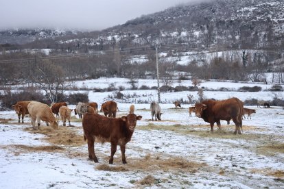 Nevada en la provincia de Ávila.- ICAL