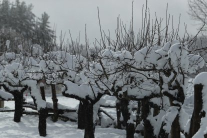 Temporal de nieve en el Bierzo.- ICAL