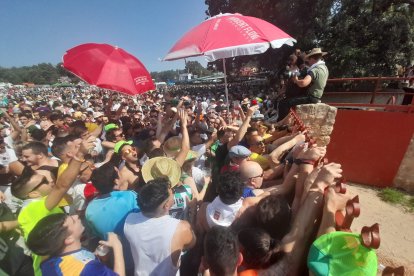 Miles de personas acuden al monte Valonsadero para presenciar la salida de doce toros y la traída del ganado hasta la plaza de toros de la ciudad.-GONZALO MONTESEGURO / MARIO TEJEDOR