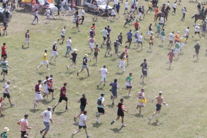 Miles de personas acuden al monte Valonsadero para presenciar la salida de doce toros y la traída del ganado hasta la plaza de toros de la ciudad.-GONZALO MONTESEGURO / MARIO TEJEDOR