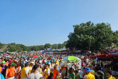 Miles de personas acuden al monte Valonsadero para presenciar la salida de doce toros y la traída del ganado hasta la plaza de toros de la ciudad.-GONZALO MONTESEGURO / MARIO TEJEDOR