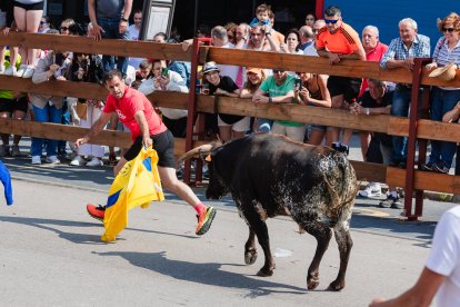 Miles de personas acuden al monte Valonsadero para presenciar la salida de doce toros y la traída del ganado hasta la plaza de toros de la ciudad.-ICAL