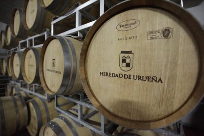 Viñedos de la bodega Heredad de Urueña, en Morales de Toro (Zamora). -E.M.