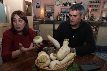 José Carlos González recoge nabos en una parcela cerca de Monzón de Campos (Palencia).- ICAL