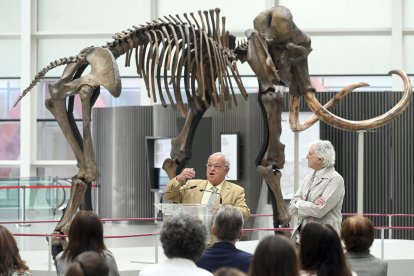 Presentación de la exposición temporal 'Un mamut en Burgos' por parte del consejero de Cultura, Turismo y Deporte, Gonzalo Santonja, y el director científico del MEH y comisario de la exposición, Juan Luis Arsuaga.-ICAL
